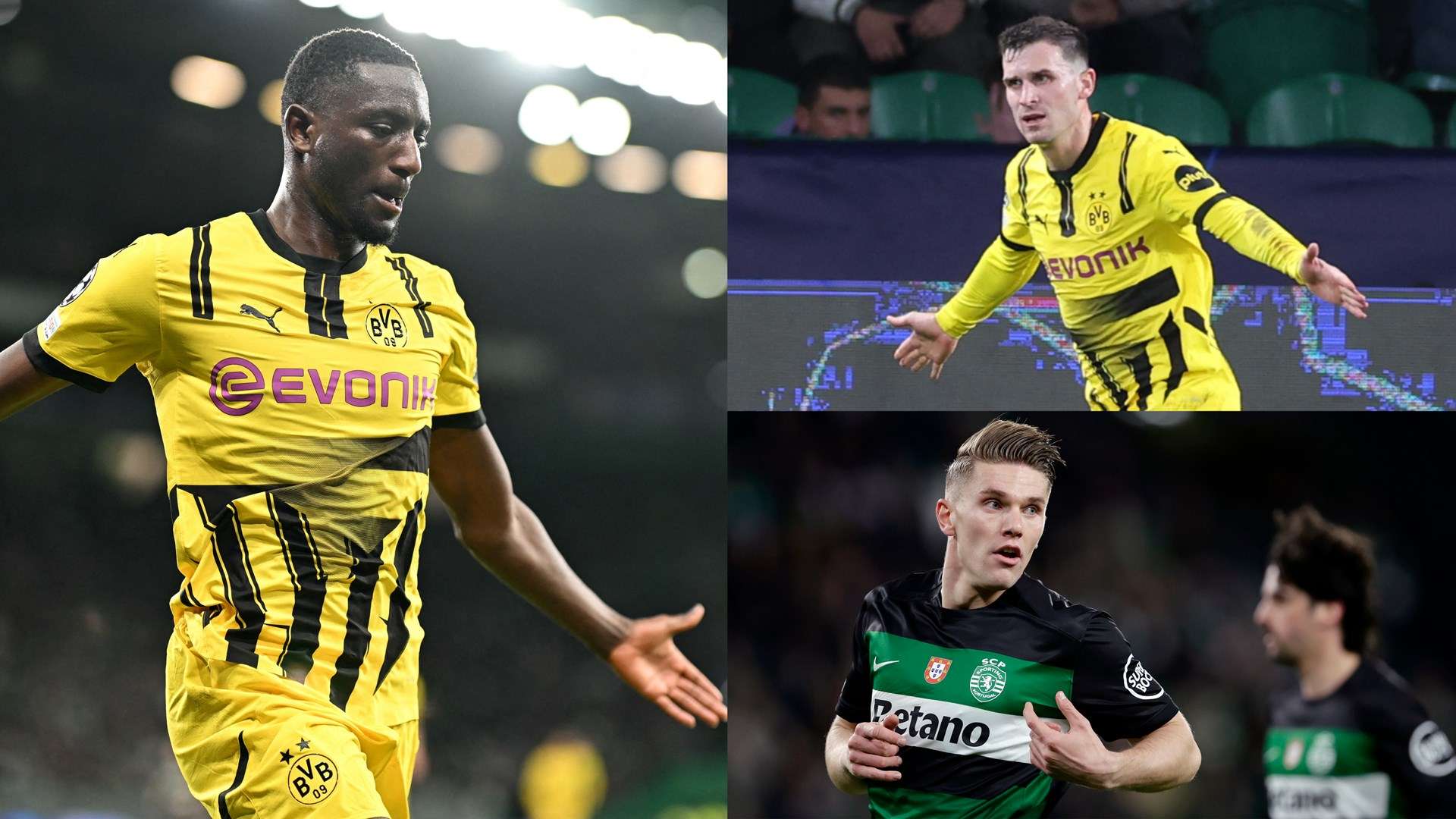 森林狼的失 森林狼的失